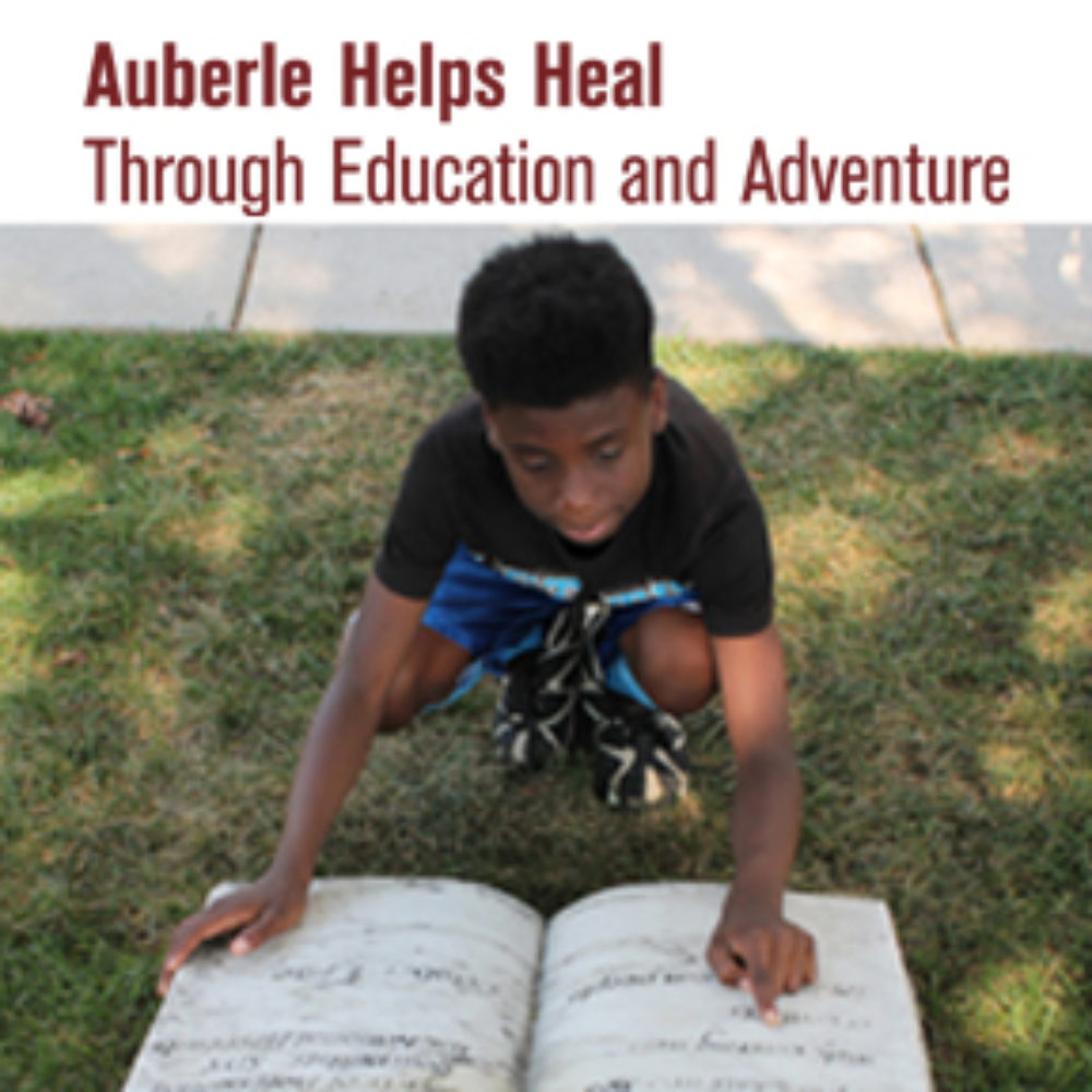 Auberle Summer School Case Study
